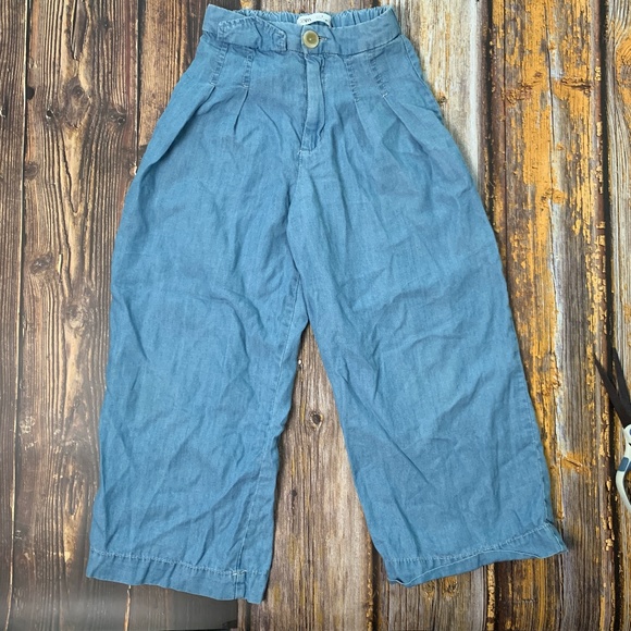 Zara Pants